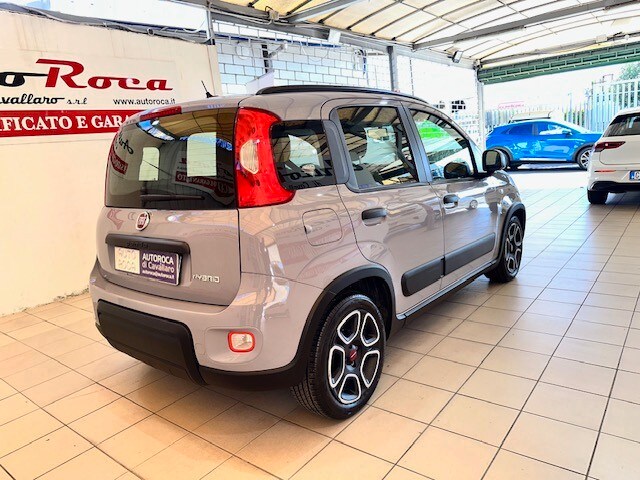 FIAT Panda 3ª serie Panda 1.0 FireFly S&S Hybrid City Life