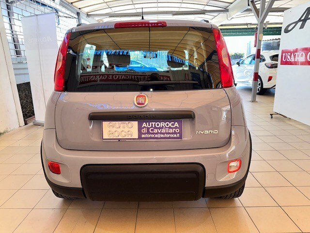 FIAT Panda 3ª serie Panda 1.0 FireFly S&S Hybrid City Life