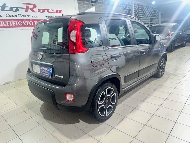 FIAT Panda 3ª serie Panda 1.0 FireFly S&S Hybrid City Life