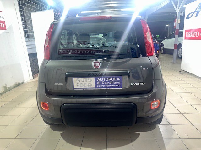 FIAT Panda 3ª serie Panda 1.0 FireFly S&S Hybrid City Life